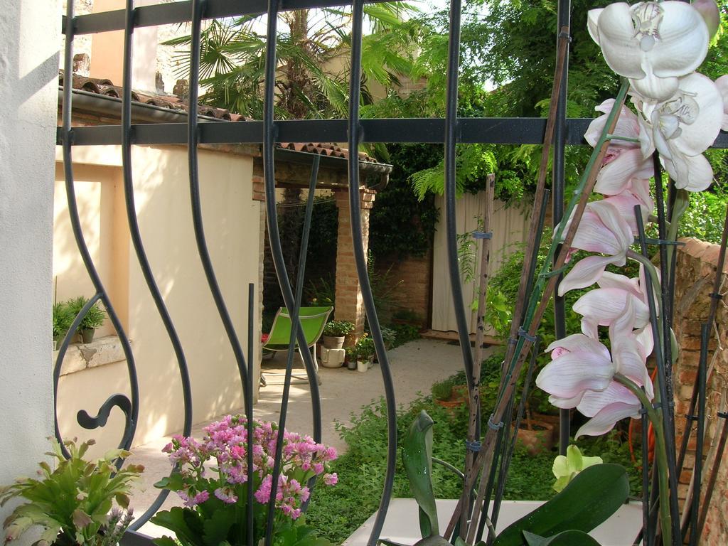 Macri Hotel Montagnana  Buitenkant foto